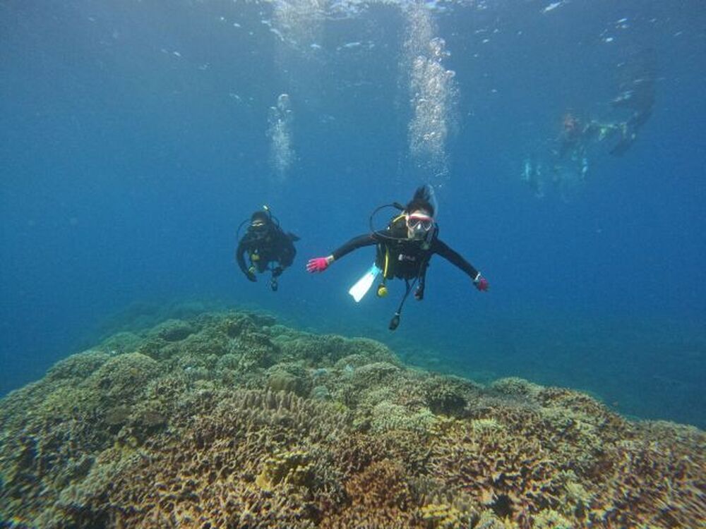 ツアー中の写真・動画を無料でプレゼント♪