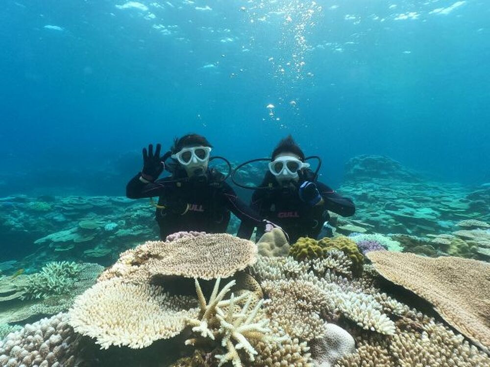 ツアー中の写真・動画を無料でプレゼント♪
現地特産フルーツ（パイナップル、マンゴー、スイカなど）
現地特産のお菓子サーターアンダギーなどご賞味いただけます。