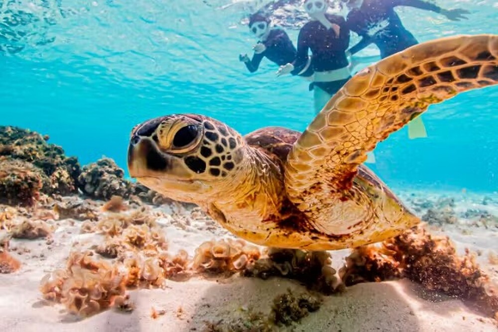 島暮らしのことお話します♪