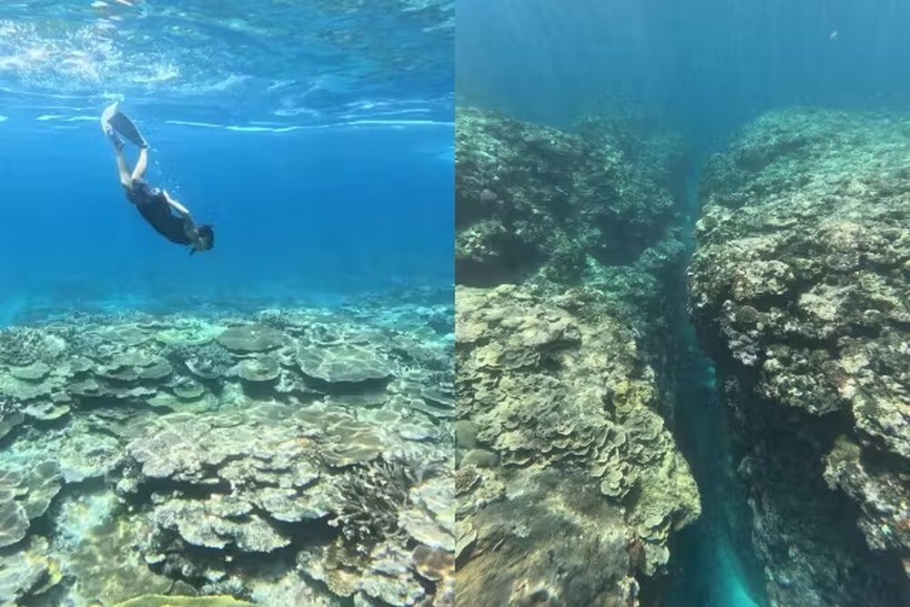 島暮らしのことお話します♪