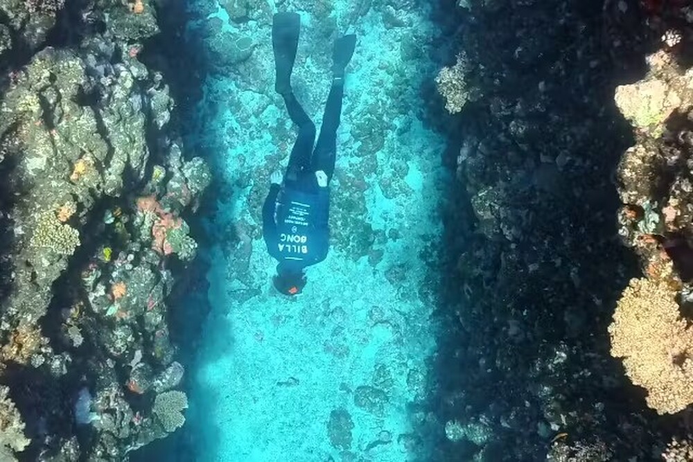 島暮らしのことお話します♪