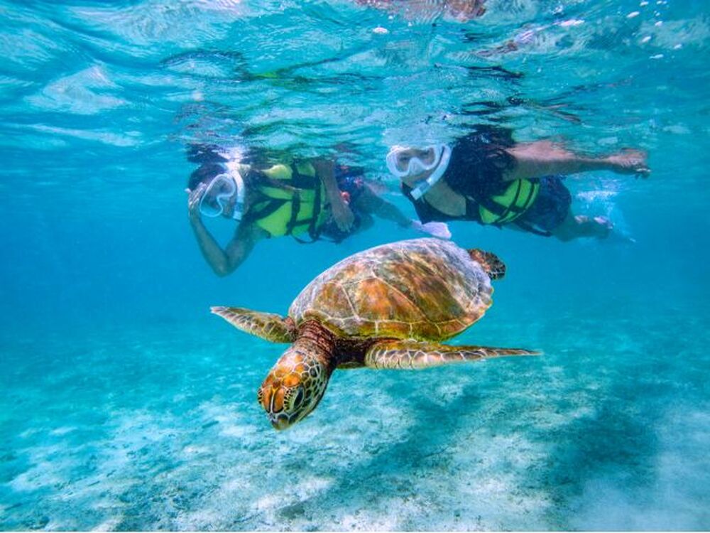 ツアー中写真をデータでプレゼント！