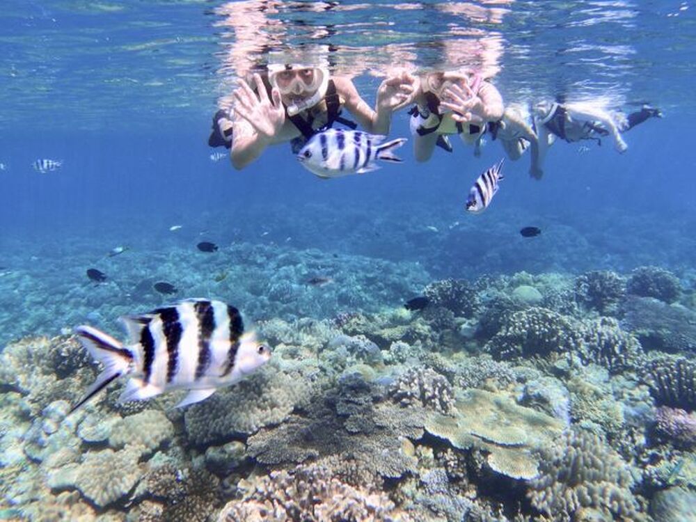 古宇利島のおすすめ教えます♪
