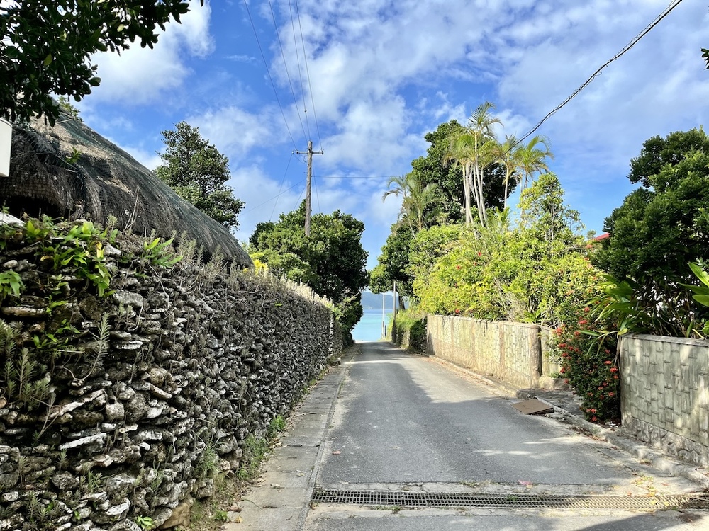 西表島の文化や生活、歴史、おすすめスポットなどを教えます♪どんどんご質問くださいね！