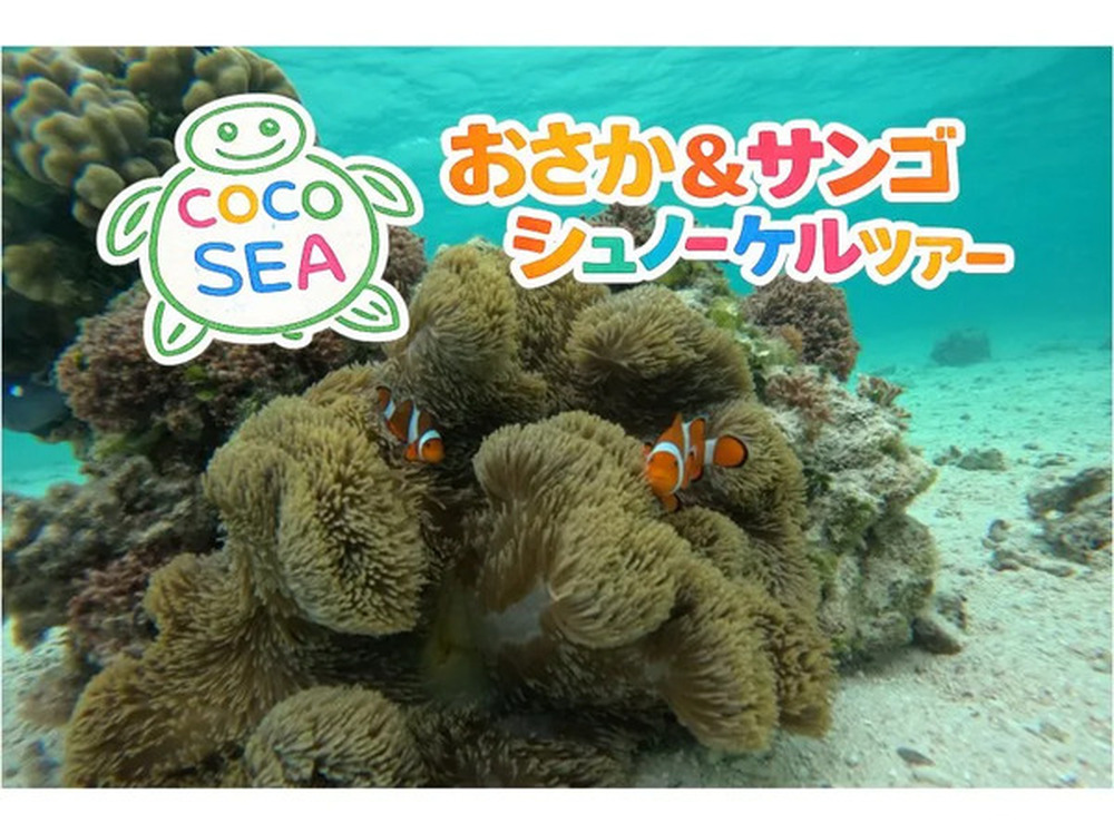 ツアー中の写真をプレゼント♪