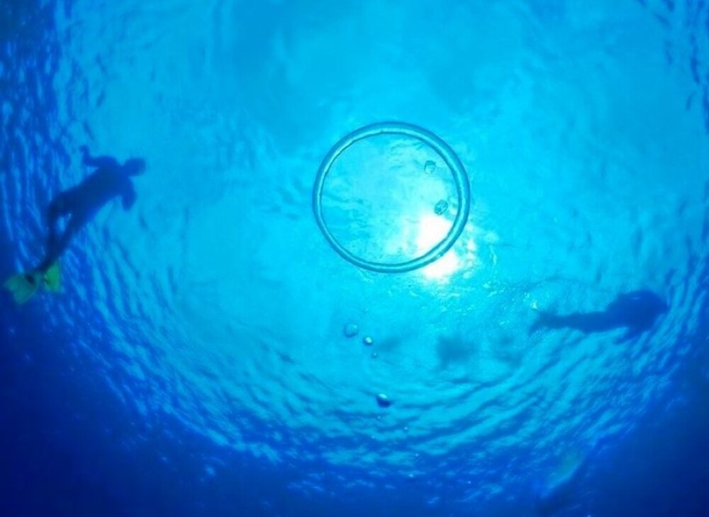 ツアーにご参加いただいた方全員に当店(うんどうや)のオリジナルステッカープレゼント！
※しまたびで予約しました！とお伝えくださいね♪