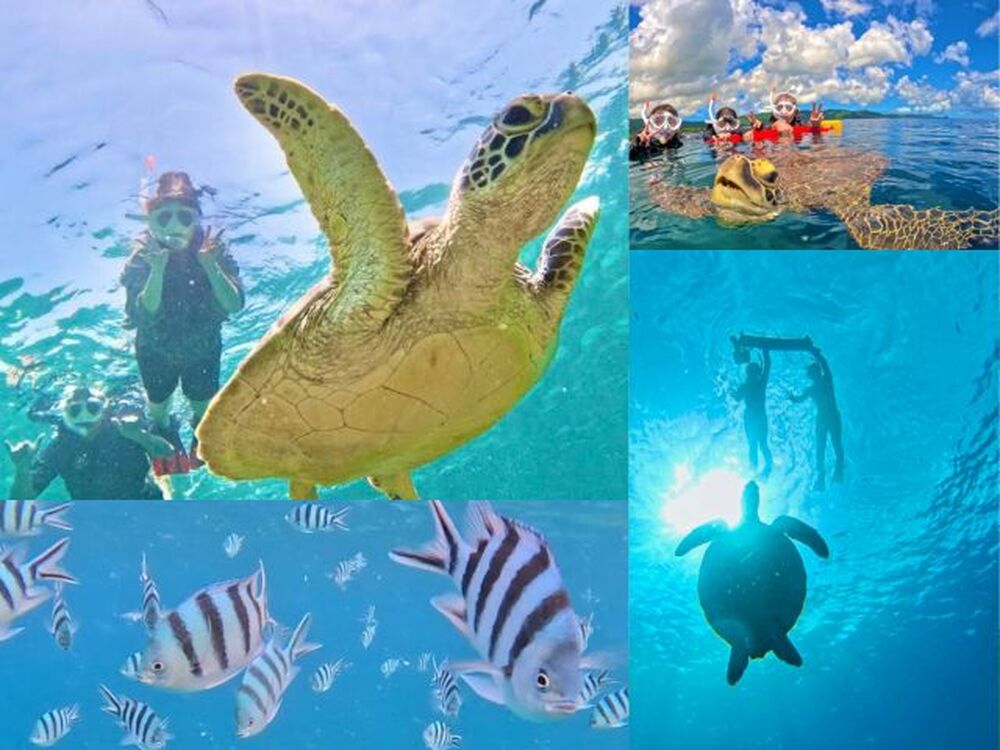 石垣島のおすすめ教えます♪