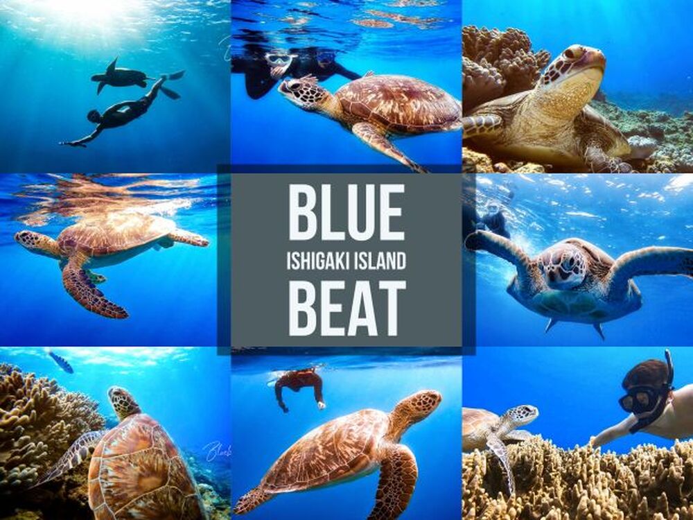 石垣島のおすすめ教えます♪