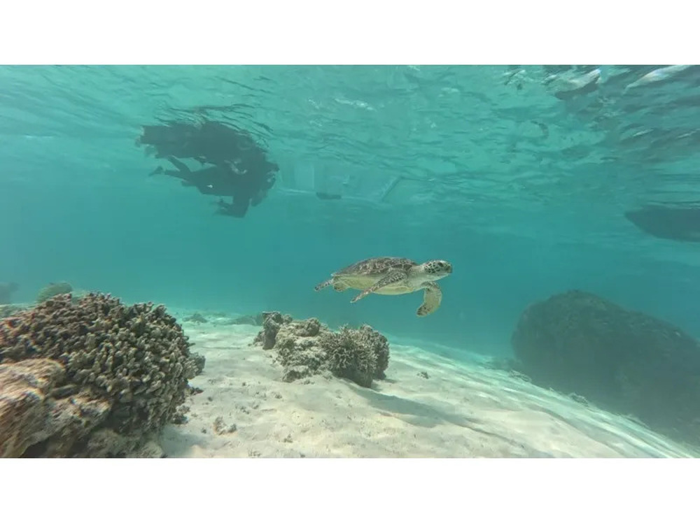 ツアー中のGopro写真をプレゼント♪