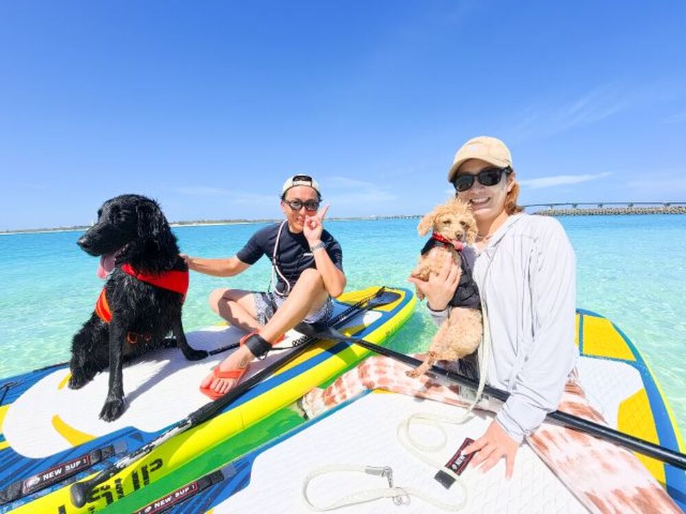 ツアー中の写真データプレゼント♪