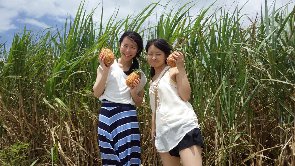 しまたび予約者に限りインスタフォローとタグ付け、もしくは ストーリーズ投稿でスタッフおすすめのローカルグルメプレゼント!ツアー帰りの送迎時にご案内します。