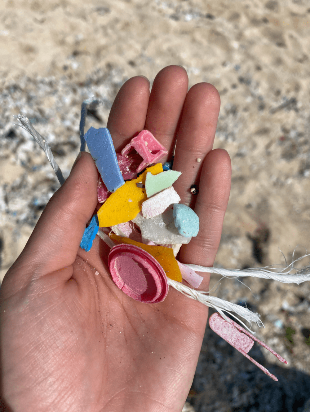 1SUP 1CLEAN UP
ツアー終了後、漂流ゴミやマイクロプラスチック問題について話しながらビーチクリーンをします。
1つでもゴミを拾うことで宮古島の海を守ることができるので、皆さんが環境問題について考えるきっかけになれば嬉しいです。