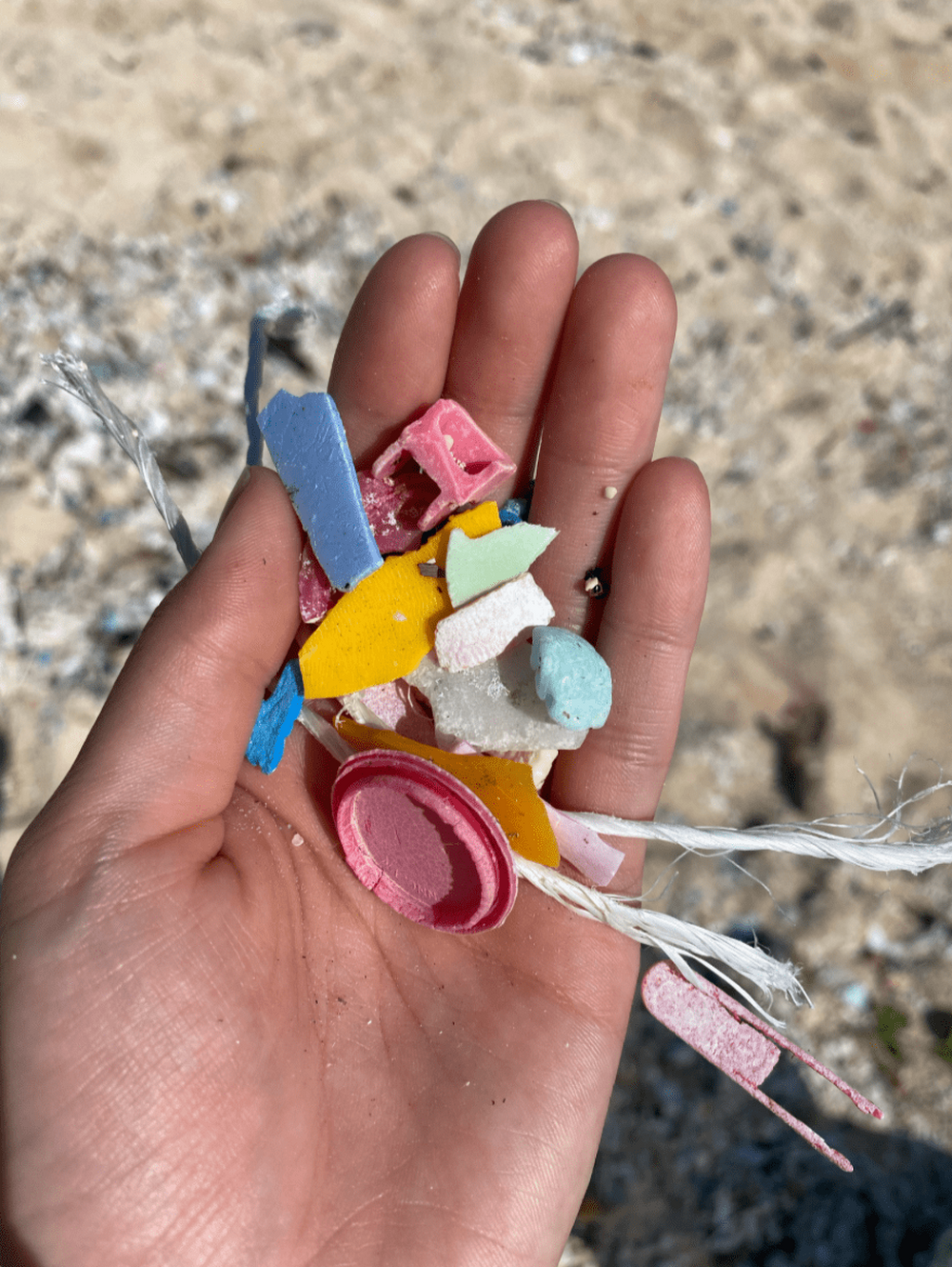 1SUP 1CLEAN UP
ツアー終了後、漂流ゴミやマイクロプラスチック問題について話しながらビーチクリーンをします。
1つでもゴミを拾うことで宮古島の海を守ることができるので、皆さんが環境問題について考えるきっかけになれば嬉しいです。