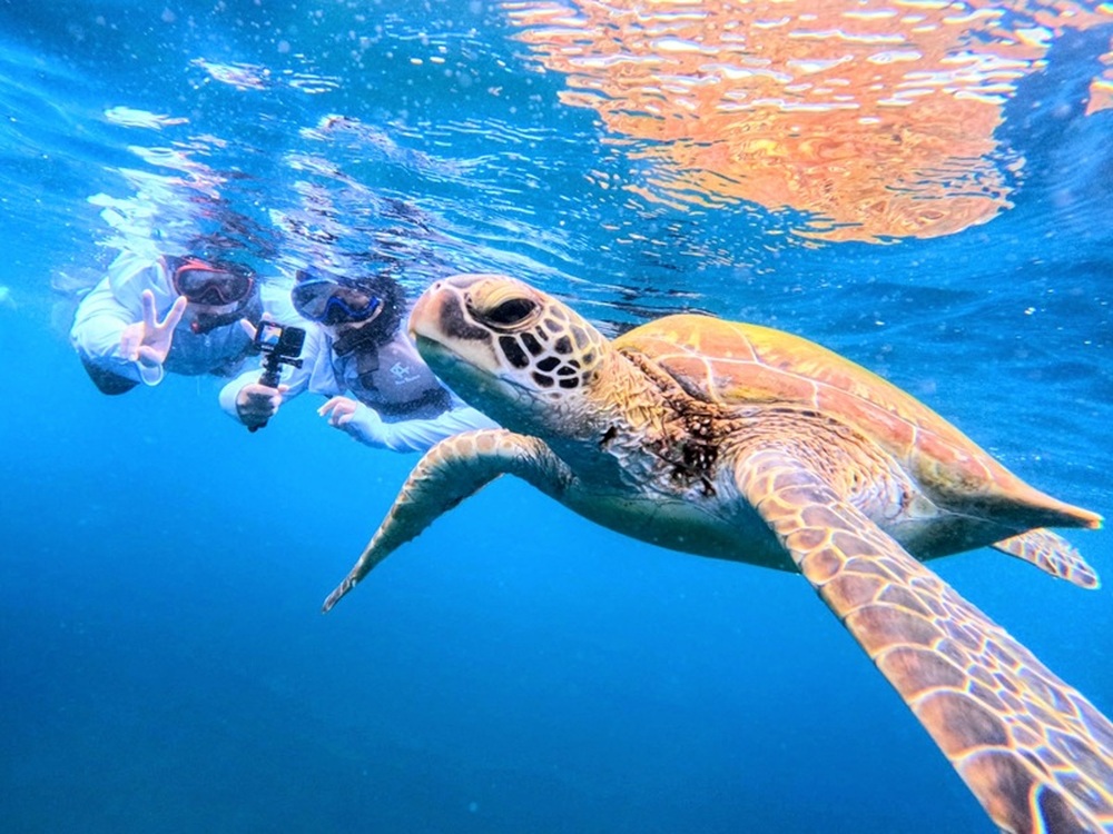 写真・動画データ無料プレゼント♪