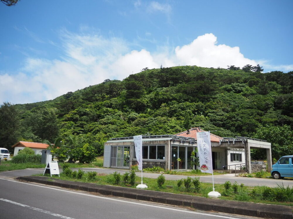 元地域おこし協力隊のテイさんから学ぶ西表島の魅力！
実際に住んでいる私が感じている西表島の魅力をたくさんお話しします♪
