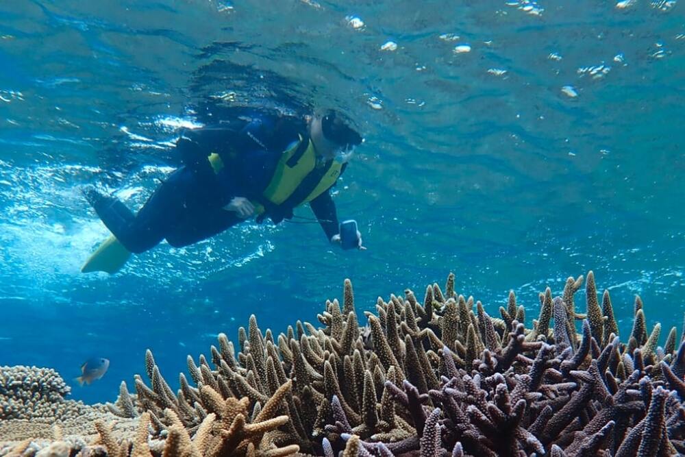体験終了後、ドリンク1杯プレゼント!