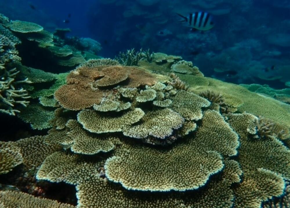 体験後、ドリンク1杯プレゼント！