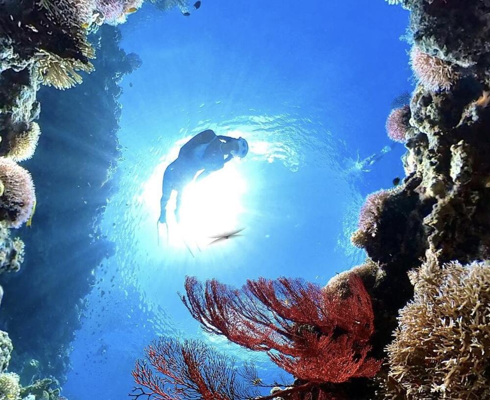 【しまたび限定】
しまたびでCOCOSUPのツアーをお申し込みいただければ当日体験料1,000割引きいたします！