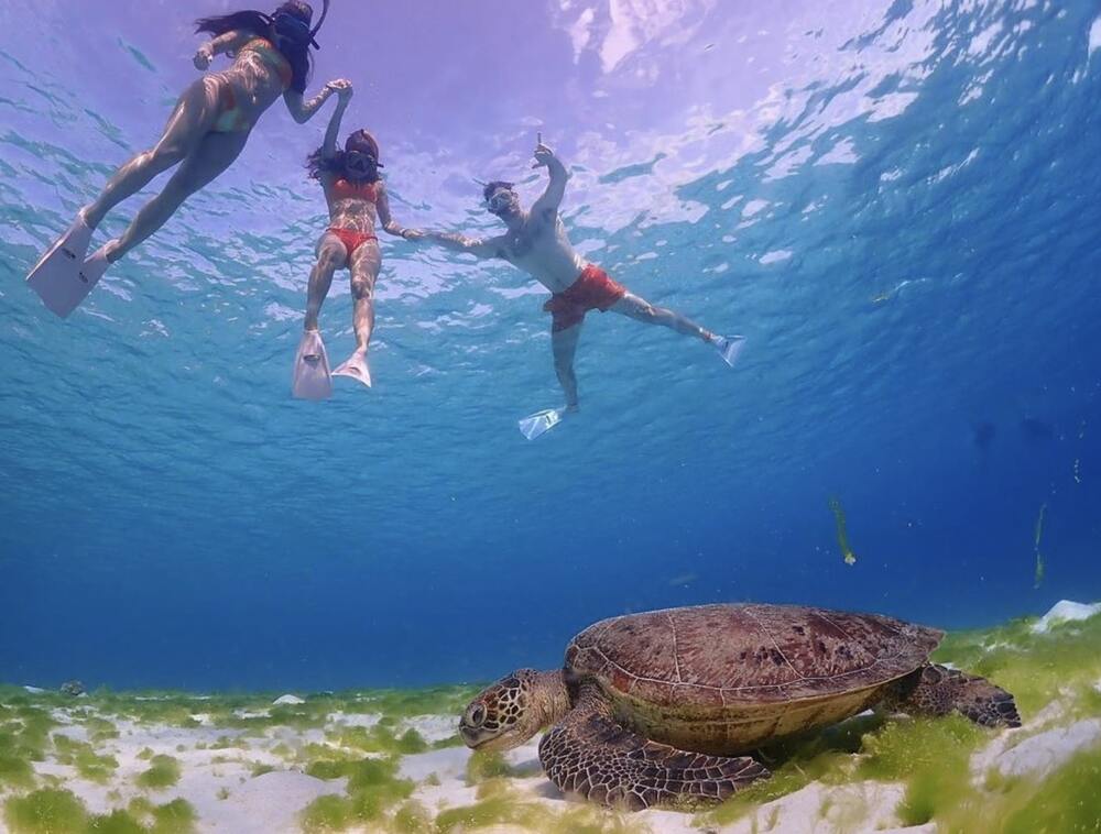 旅の思い出作りに!ガイドが写真を撮影してデータを無料プレゼント!