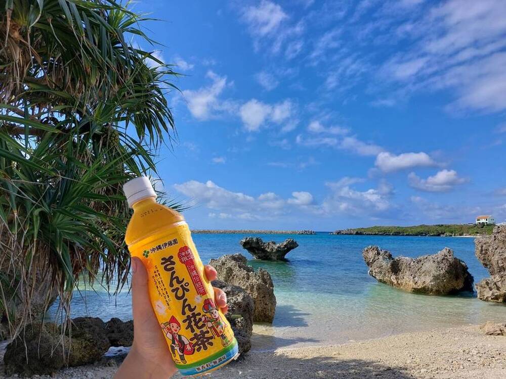 歴史散策終了後に、参加者の皆さんにすっきり爽やかな「お茶」をプレゼント致します!
少し休憩しながら、ガイドとおしゃべりしましょう!