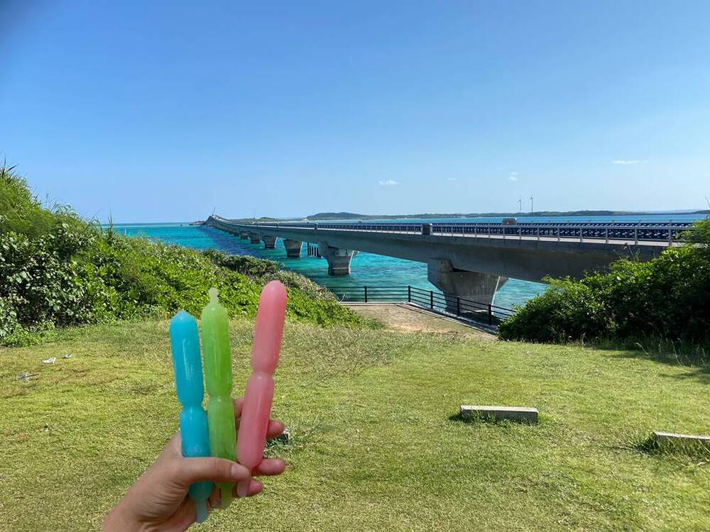 体験終了後に、参加者の皆さんに「ミッキージュースアイス」をプレゼント致します!
少し休憩しながら、ガイドとおしゃべりしましょう!