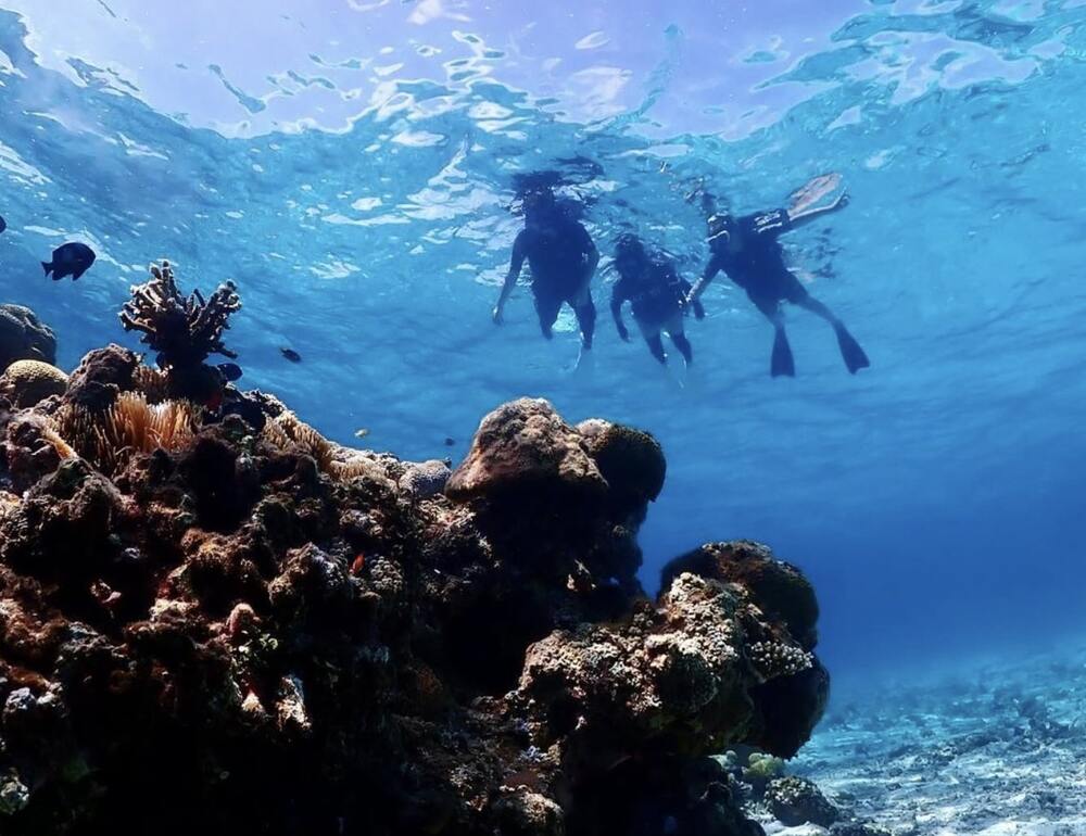 体験中の写真・動画を無料でプレゼント!