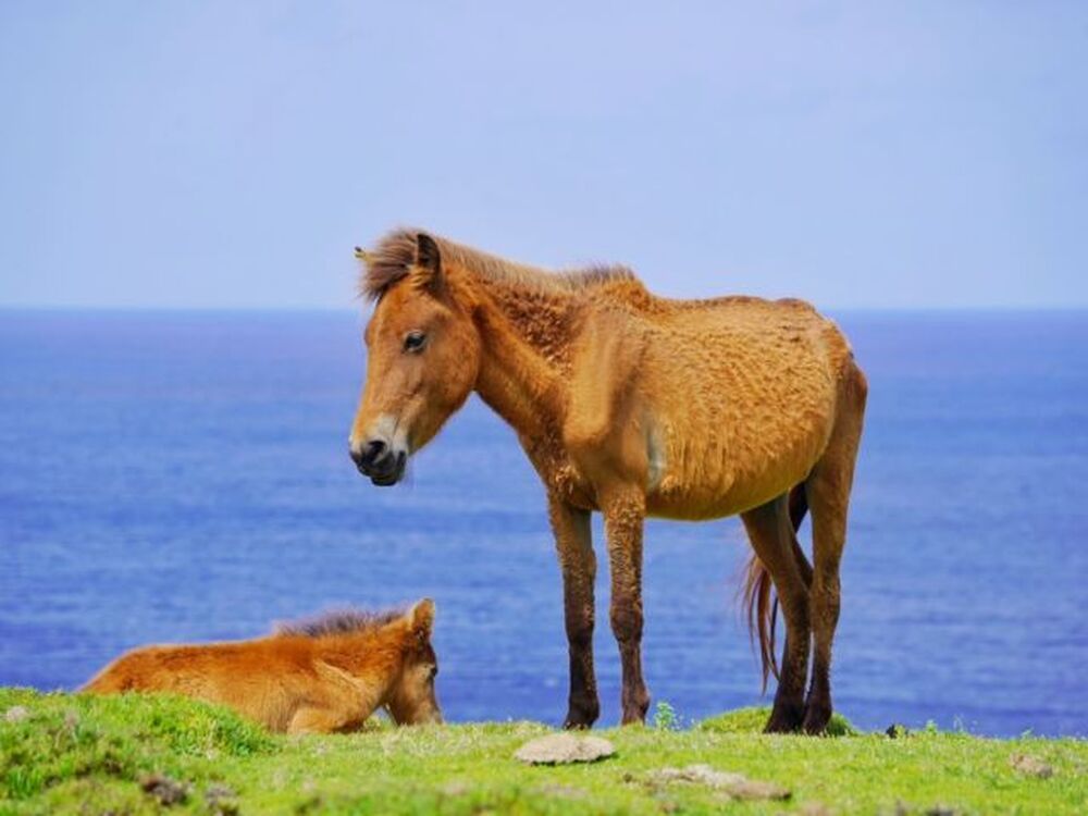 ツアー中のお写真をお送りいたします♪