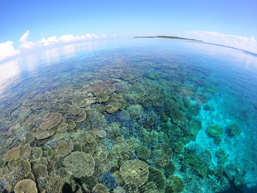 ①大判のセイムタオル無料貸出
②度付きレンズ貸出あり(無料)
③ツアー写真を無料でプレゼント！ツアー終了後に専用URLよりダウンロード可能♪
※ダウンロード期限は、ツアー参加日より1カ月とさせていただきます。
④＼シャワー＆トイレ完備／大型の日除けテント付のシュノーケルツアー専用船でご案内♪