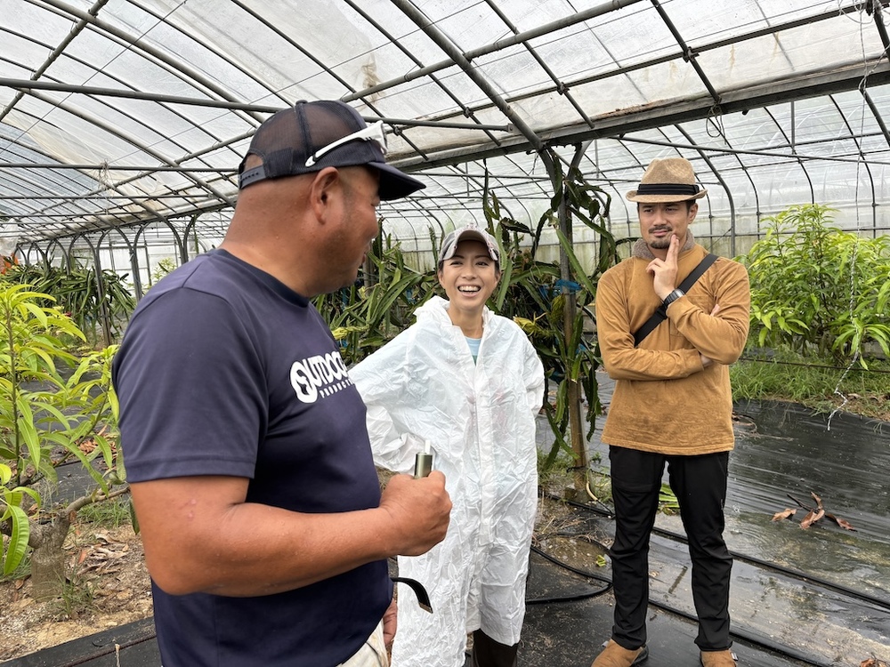 牛の餌やりプチ体験へご案内いたします♪
農園の隣が牧場になっていますので動物と触れ合ってみましょう！