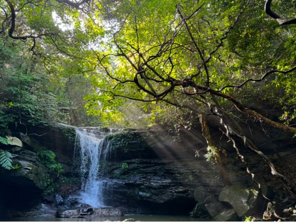 ツアー中の素敵なお写真プレゼント♪