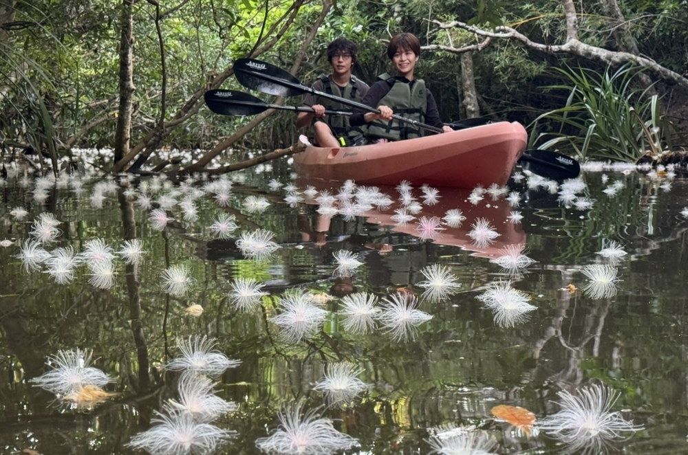 ツアー中の素敵なお写真プレゼント♪