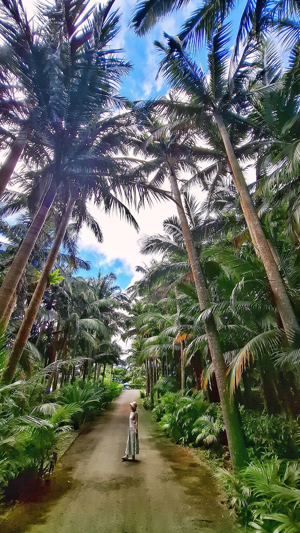 島暮らしについてお話しいたします♪どんどんご質問くださいね！