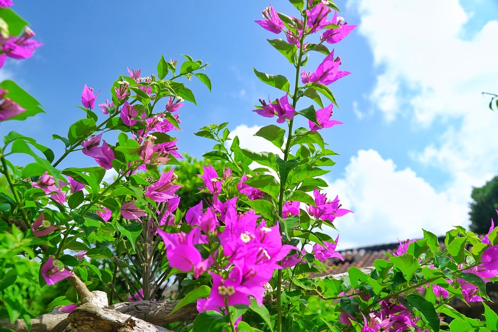 島暮らしについてお話しいたします♪どんどんご質問くださいね！