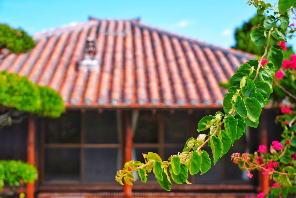 島暮らしについてお話しいたします♪どんどんご質問くださいね！
