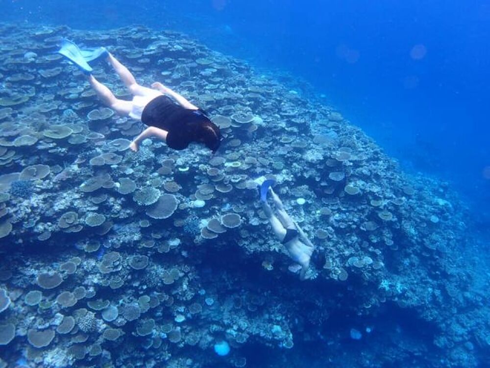 体験中の写真を無料プレゼント♪
