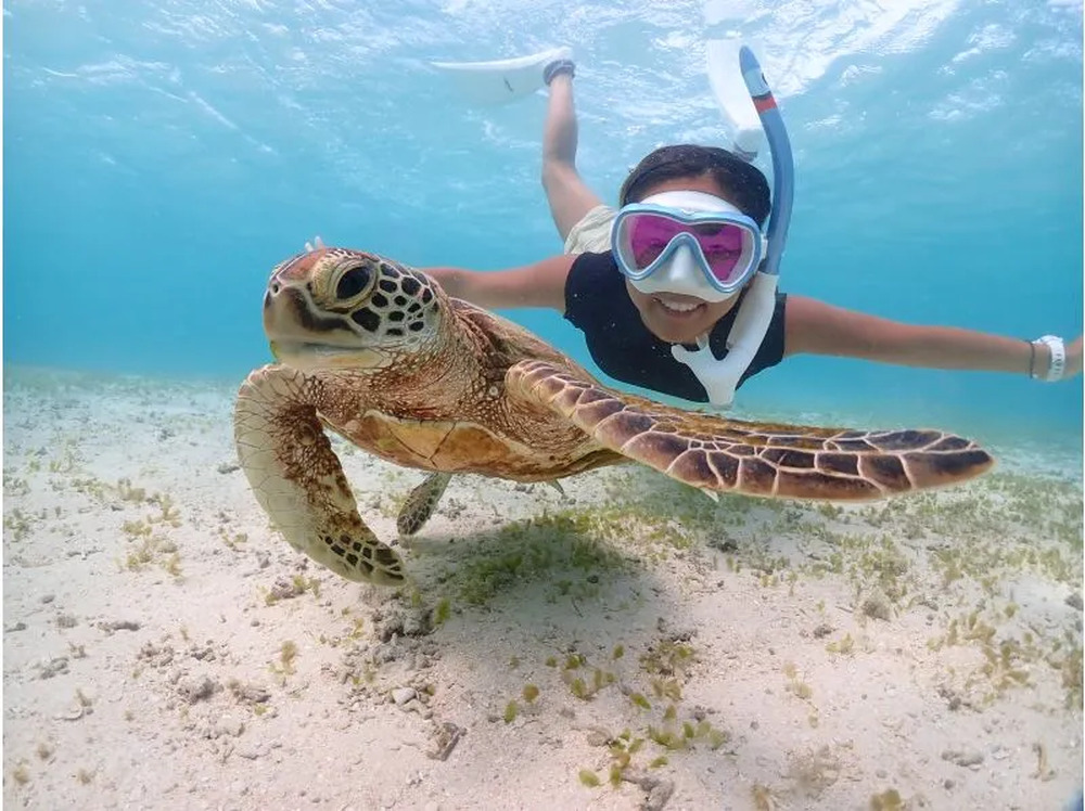 しまたび特典はツアー中にガイドがおススメの写真スポットで記念撮影♪
もちろんお写真のデータはプレゼントいたします！最高の想い出を持って帰ってくださいね。