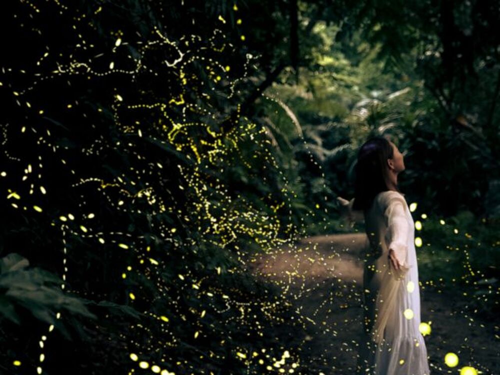 石垣島のおすすめスポット教えます♪