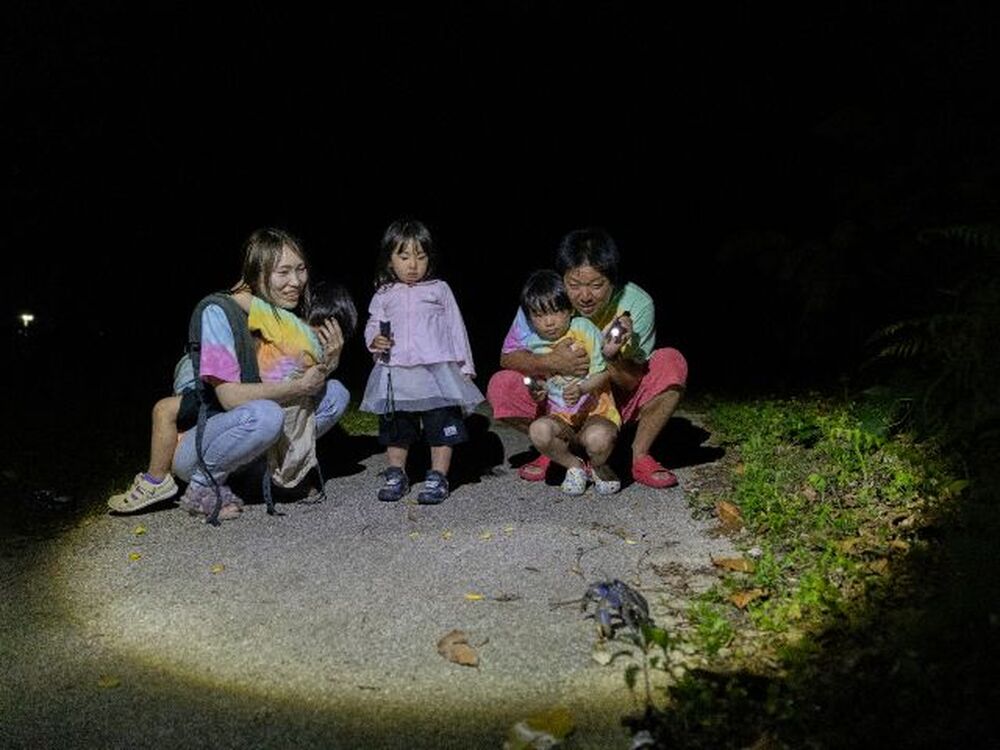 石垣島のおすすめスポット教えます♪