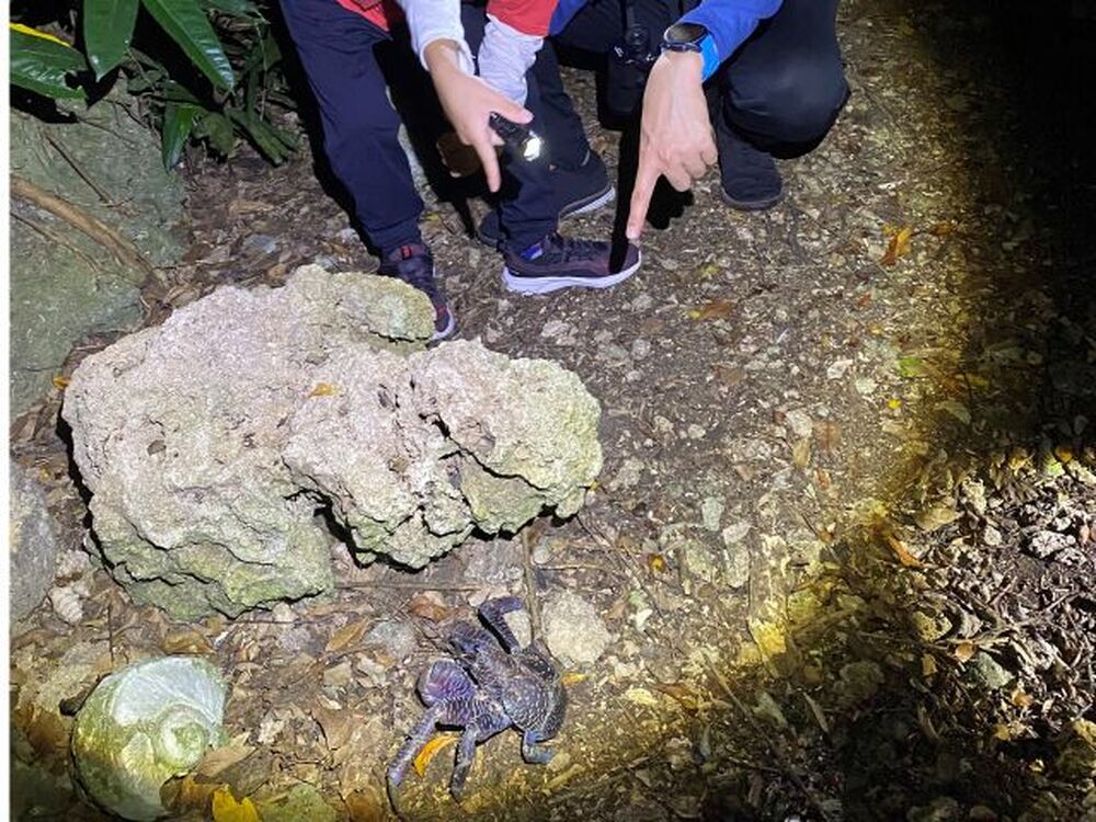 スマホ撮影サービス付き即日データをプレゼント！