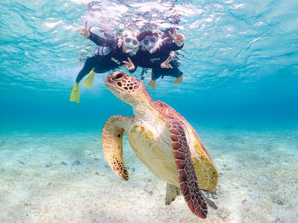 ★スペシャル特典★
冬季はウエットスーツも無料貸し出し！
・シュノーケリング中の写真データを80枚以上撮影！！無制限でプレゼント！
・高画質な写真と動画をその場ですぐにもらえる！
・必要なシュノーケリング機材全て無料貸し出し！