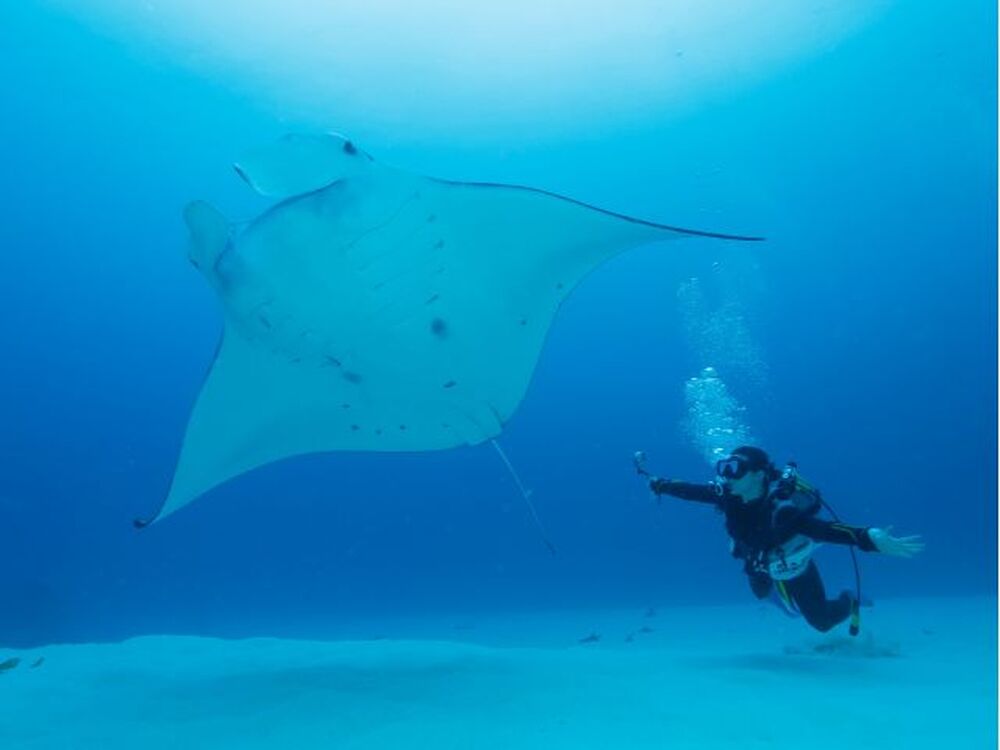 石垣島のおすすめスポット教えます♪