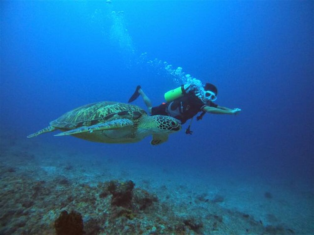 石垣島のおすすめスポット教えます♪