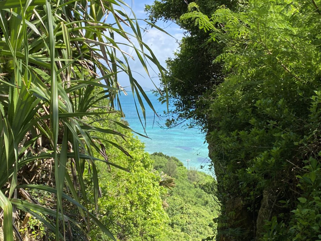 来間島 宮古諸島に訪れたら 絶対に行ってほしい観光スポット 竜宮城展望台 しまたび 沖縄の離島 アクティビティ 体験予約 観光情報