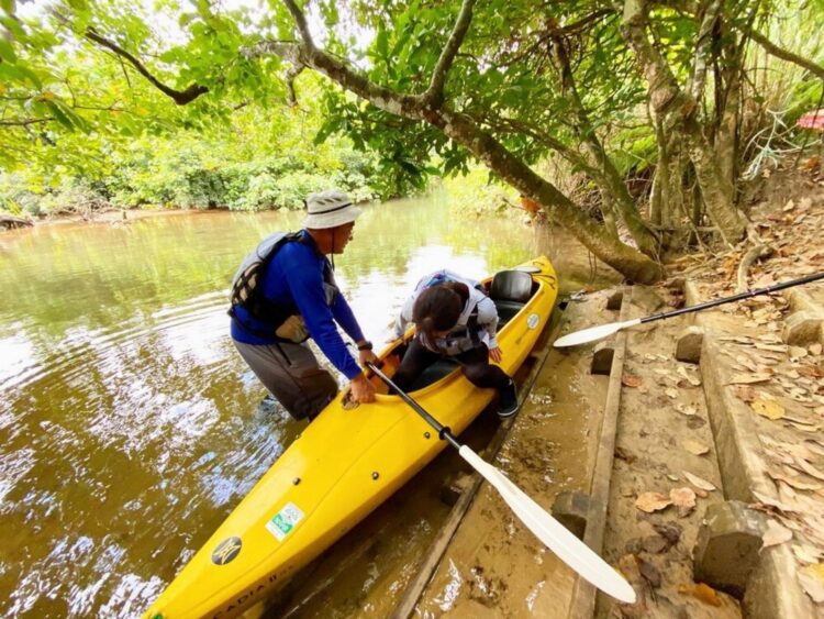 西表島 マングローブ カヤック 初心者 04