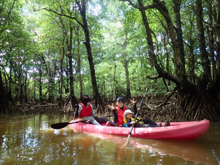 西表島　マングローブ　カヤック　初心者　05