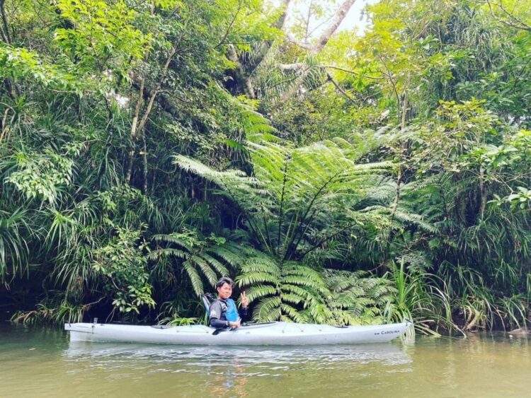 西表島　マングローブ　カヤック