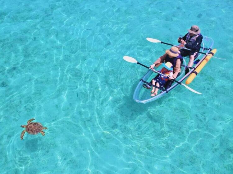 宮古島　春休み　マリンアクティビティ　シーカヤック　ウミガメ