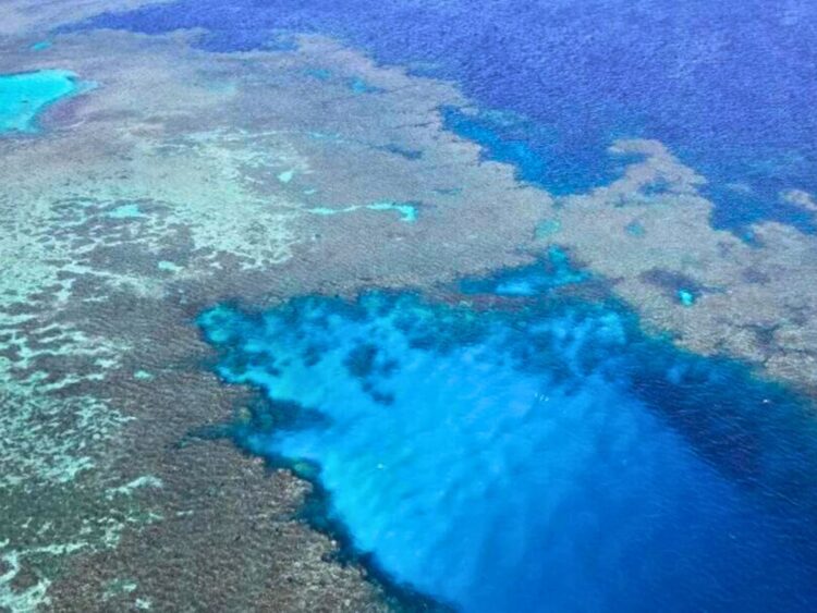 宮古島　八重干瀬　やびじ