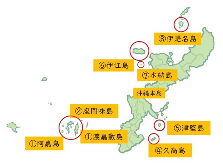 沖縄本島　日帰り離島　地図