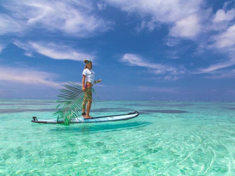 石垣島 春休み マリンアクティビティ クリアサップ